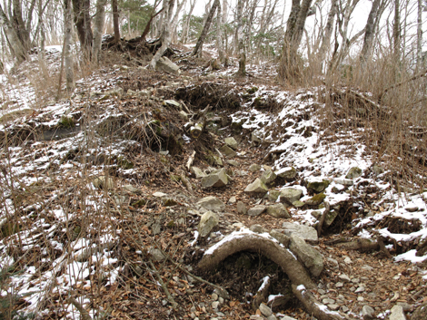 20160218hike (109)